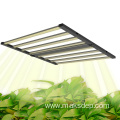 600W Tent Planting Marijuana LED Grow Light